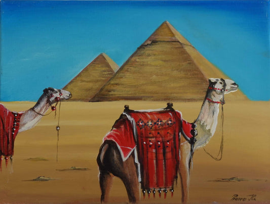 沙漠中的两只骆驼 30 x 40 厘米