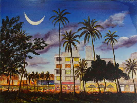 Miami nocturna 60 x 80 cm